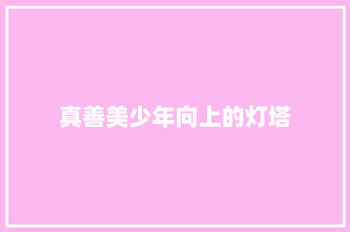 真善美少年向上的灯塔
