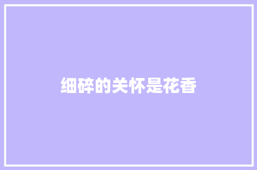细碎的关怀是花香