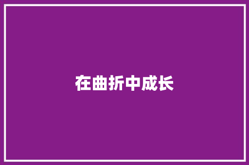 在曲折中成长