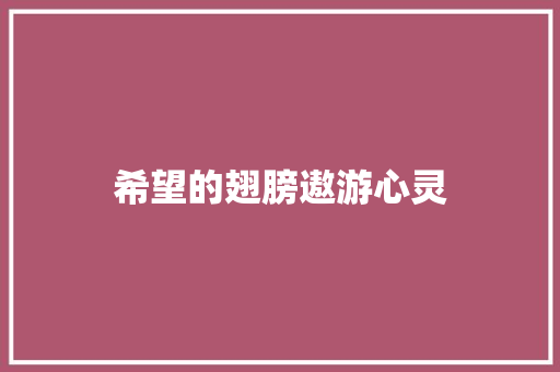 希望的翅膀遨游心灵