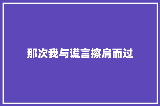 那次我与谎言擦肩而过