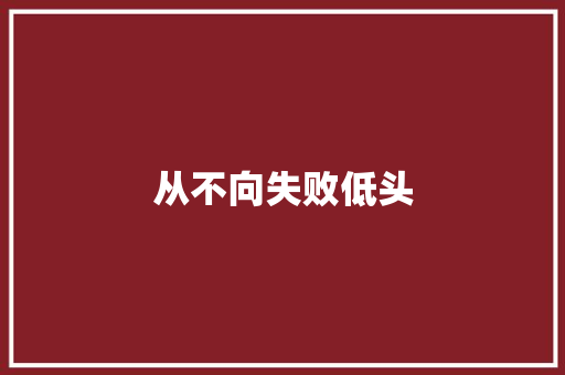 从不向失败低头