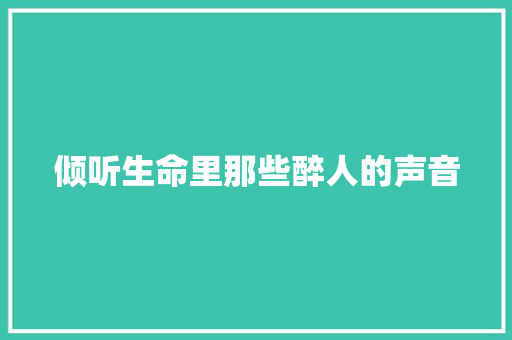 倾听生命里那些醉人的声音
