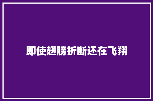 即使翅膀折断还在飞翔