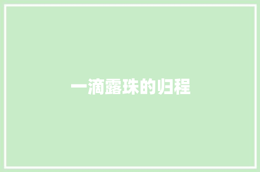 一滴露珠的归程