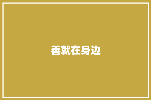 善就在身边