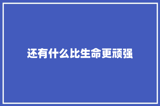 还有什么比生命更顽强