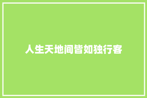 人生天地间皆如独行客