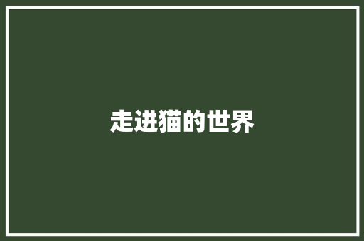 走进猫的世界