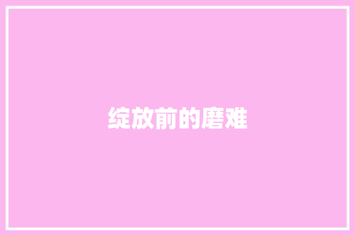 绽放前的磨难