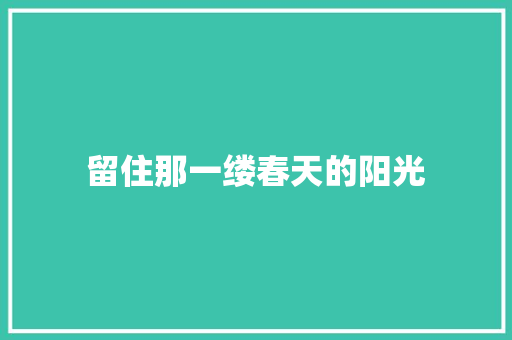 留住那一缕春天的阳光