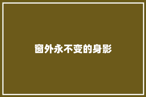 窗外永不变的身影