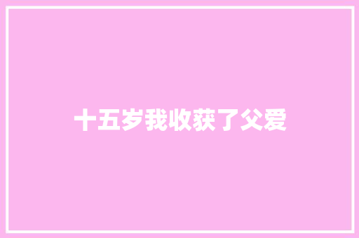 十五岁我收获了父爱