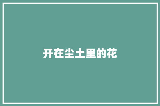 开在尘土里的花