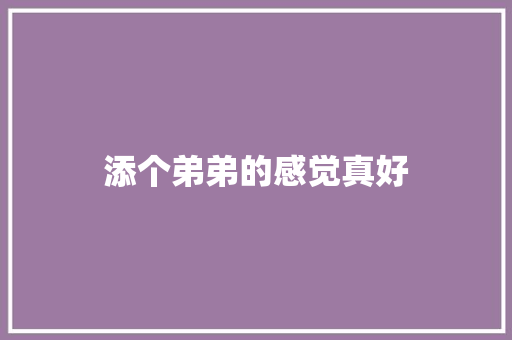 添个弟弟的感觉真好
