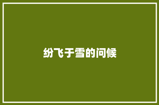 纷飞于雪的问候