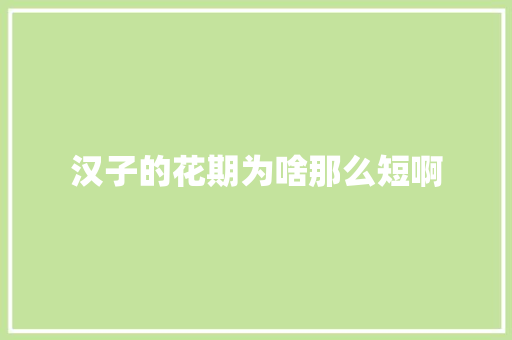 汉子的花期为啥那么短啊