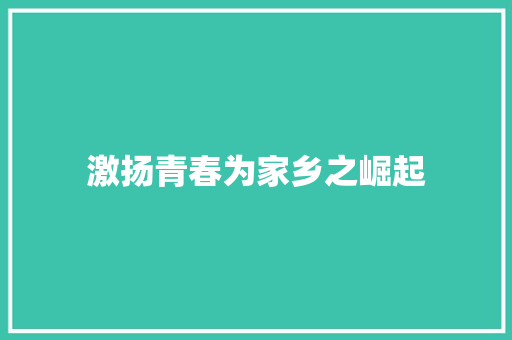 激扬青春为家乡之崛起