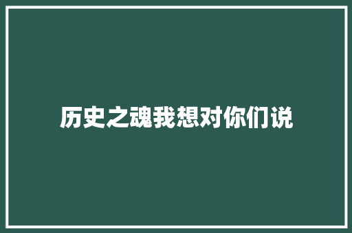 历史之魂我想对你们说