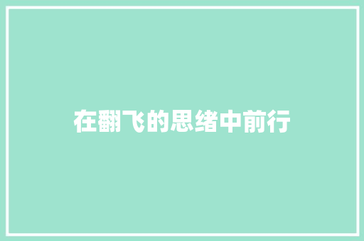 在翻飞的思绪中前行