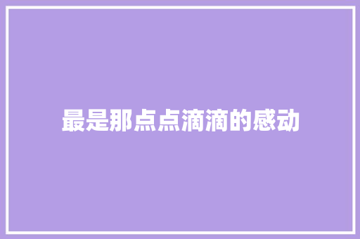 最是那点点滴滴的感动
