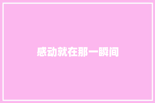 感动就在那一瞬间