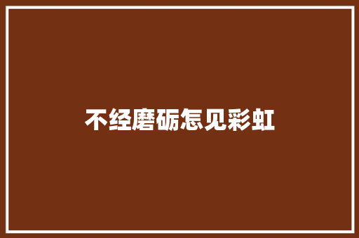 不经磨砺怎见彩虹