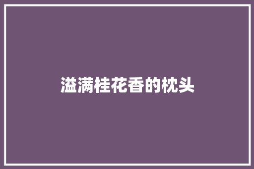 溢满桂花香的枕头