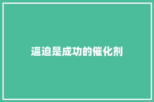 逼迫是成功的催化剂