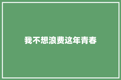 我不想浪费这年青春