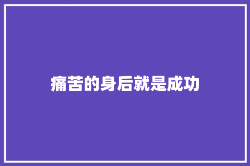 痛苦的身后就是成功