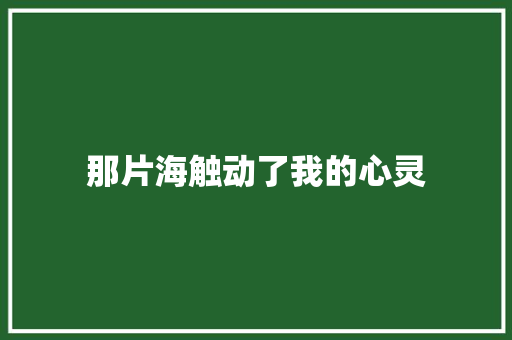 那片海触动了我的心灵