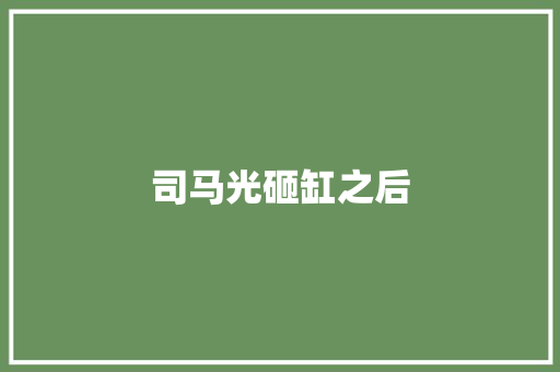 司马光砸缸之后