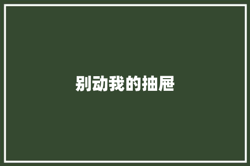 别动我的抽屉