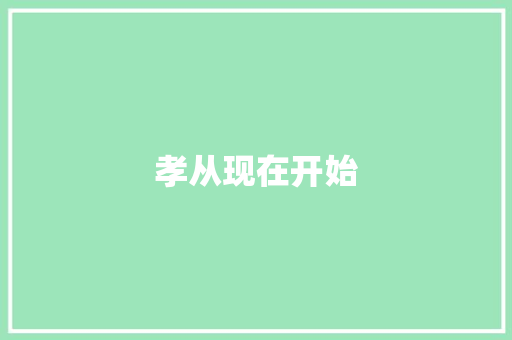 孝从现在开始