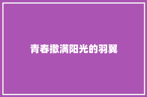 青春撒满阳光的羽翼