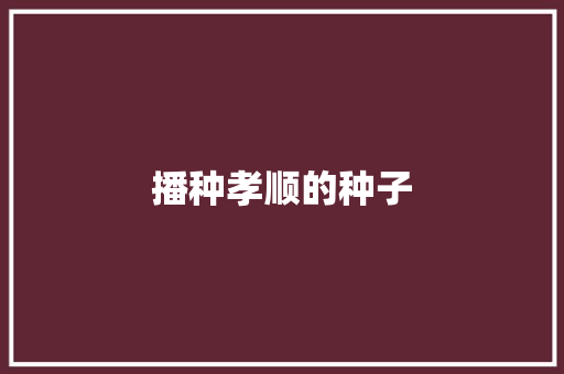 播种孝顺的种子
