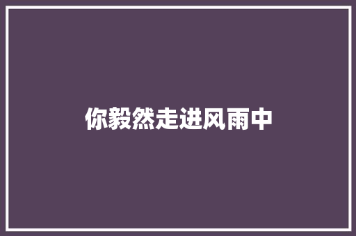 你毅然走进风雨中