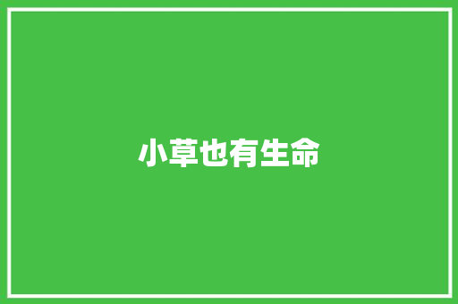小草也有生命