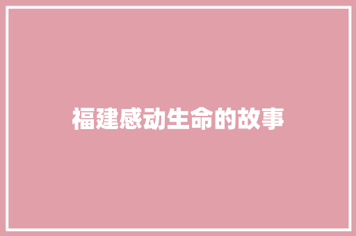 福建感动生命的故事