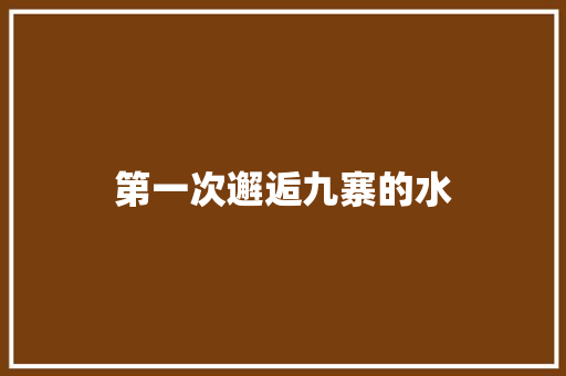 第一次邂逅九寨的水