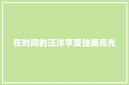 在时间的汪洋享受独美亮光