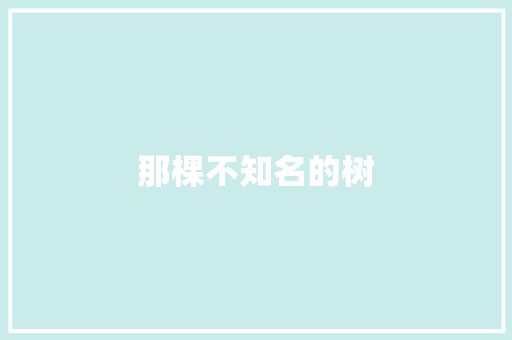 那棵不知名的树