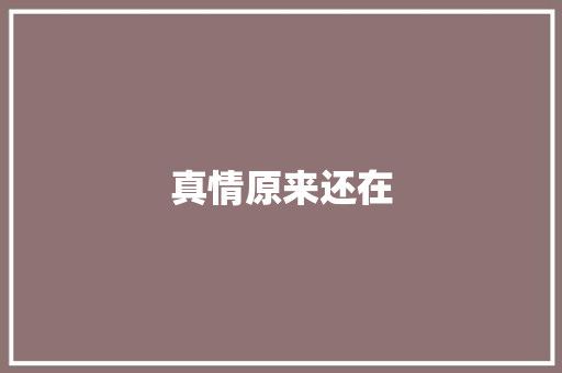 真情原来还在