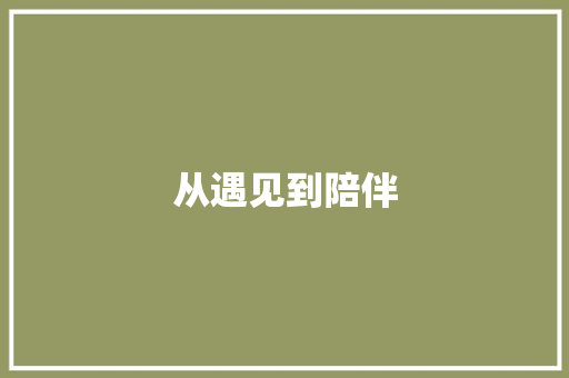 从遇见到陪伴