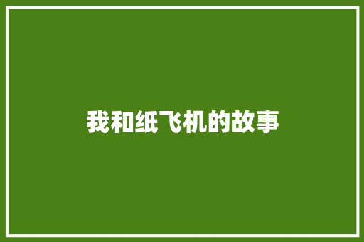 我和纸飞机的故事