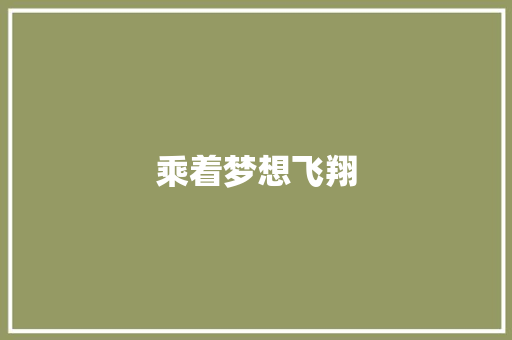 乘着梦想飞翔