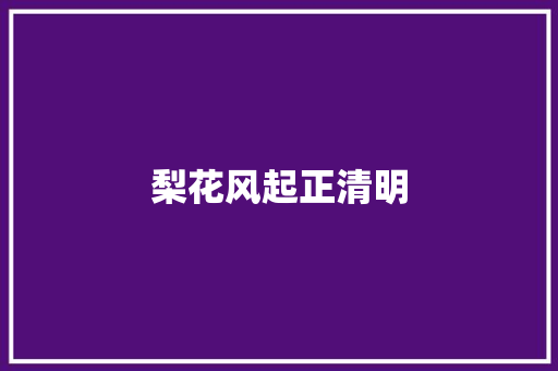 梨花风起正清明