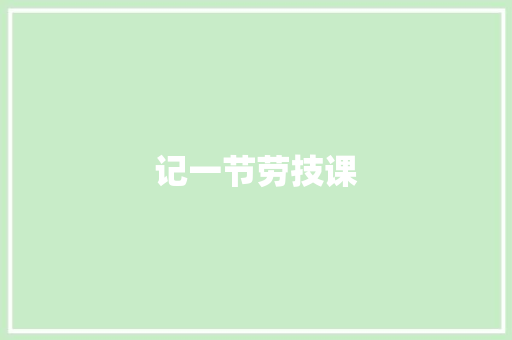 记一节劳技课