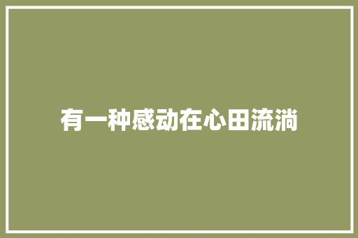 有一种感动在心田流淌